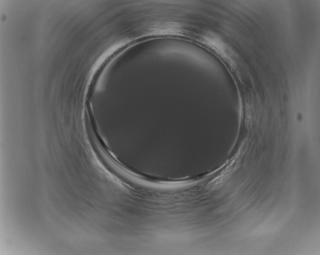 X0000071901331200607071057