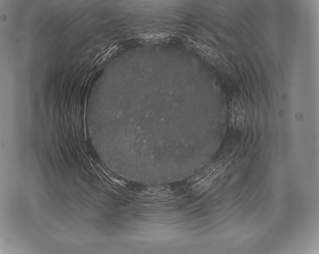 X0000071901346200607071056