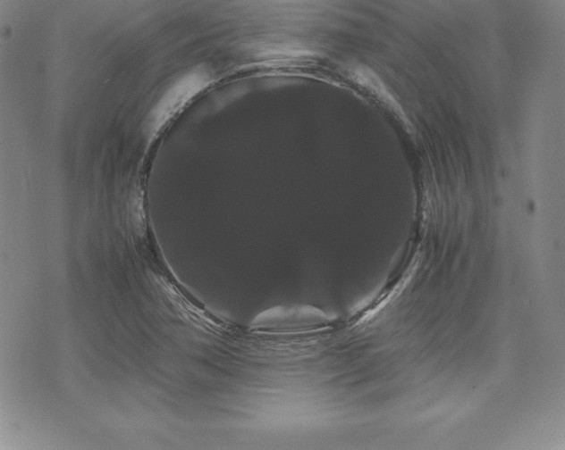 X0000071901362200607071056