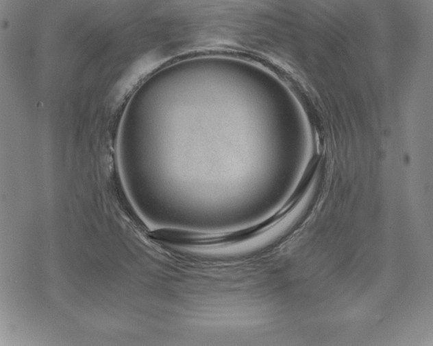X0000071901363200607071056