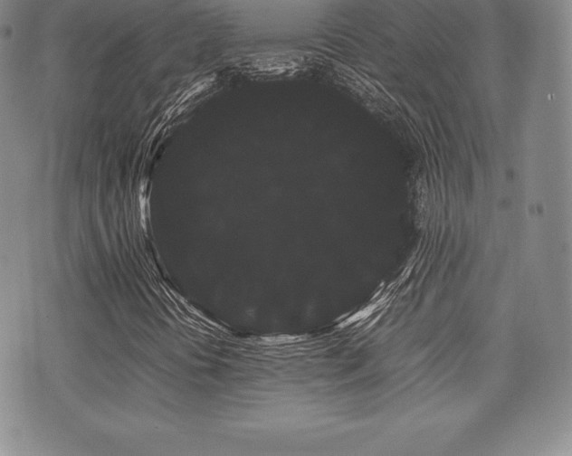 X0000071901394200607071055