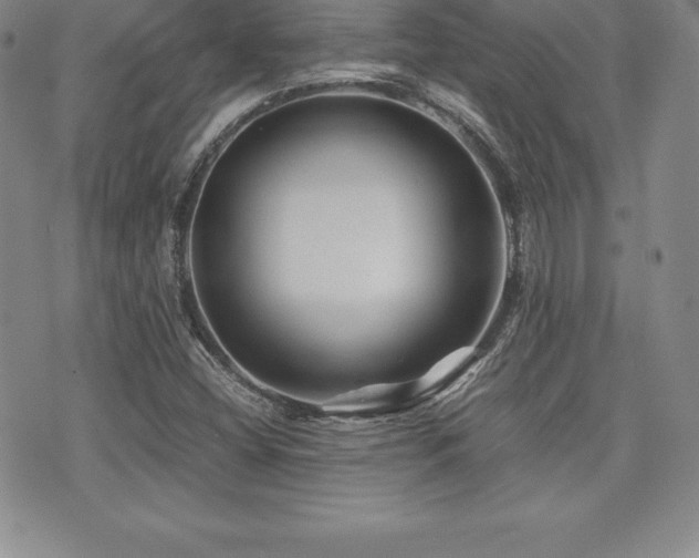 X0000071901404200607071055
