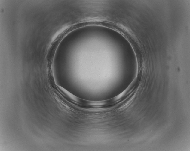 X0000071901406200607071055