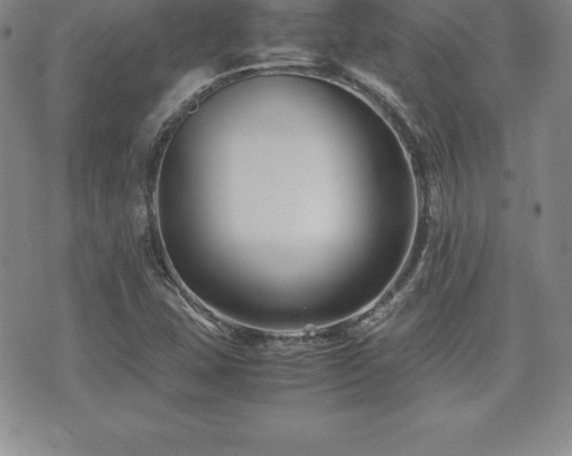 X0000071901407200607071055