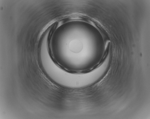 X0000071901410200607071055