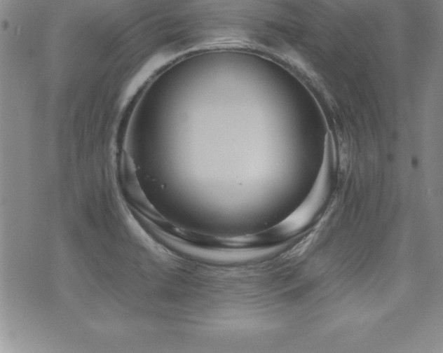 X0000071901422200607071055
