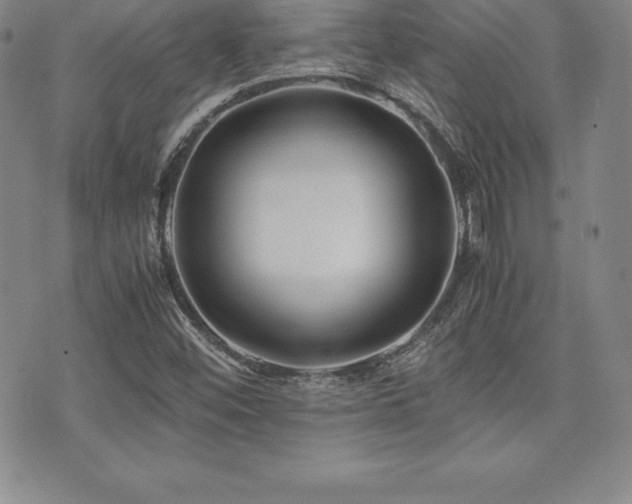 X0000071901452200607071055