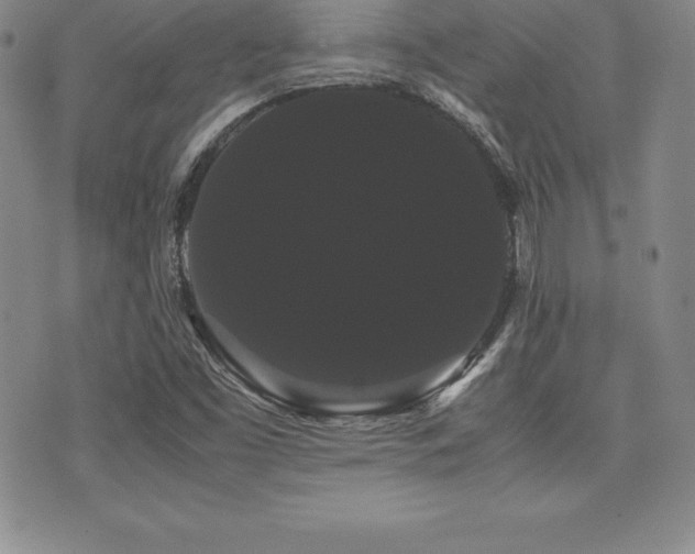 X0000071901453200607071055