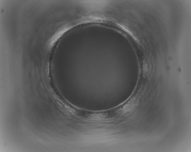 X0000071901455200607071055