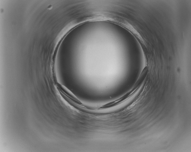 X0000071901484200607071054
