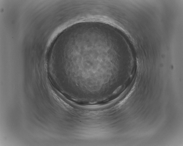 X0000071901506200607071054