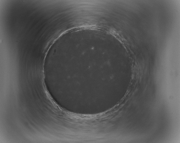 X0000071900002200607141346