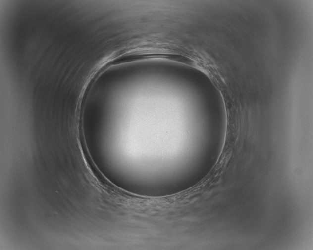 X0000071900003200607141346