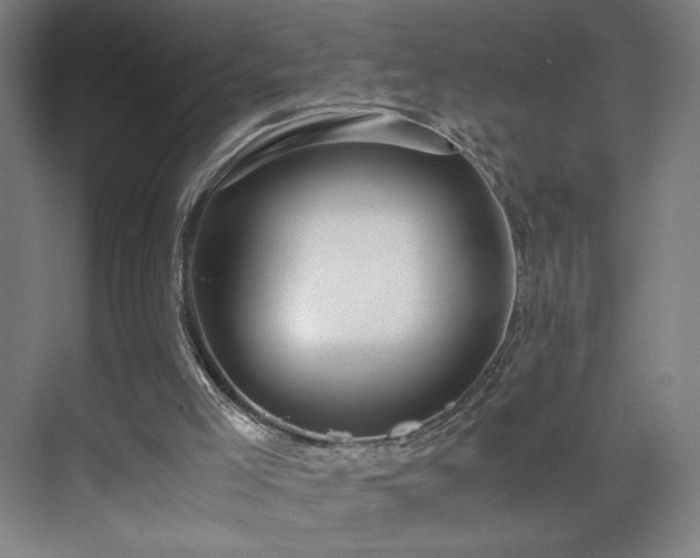 X0000071900005200607141346