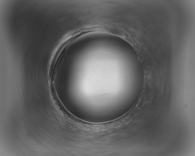 X0000071900006200607141346