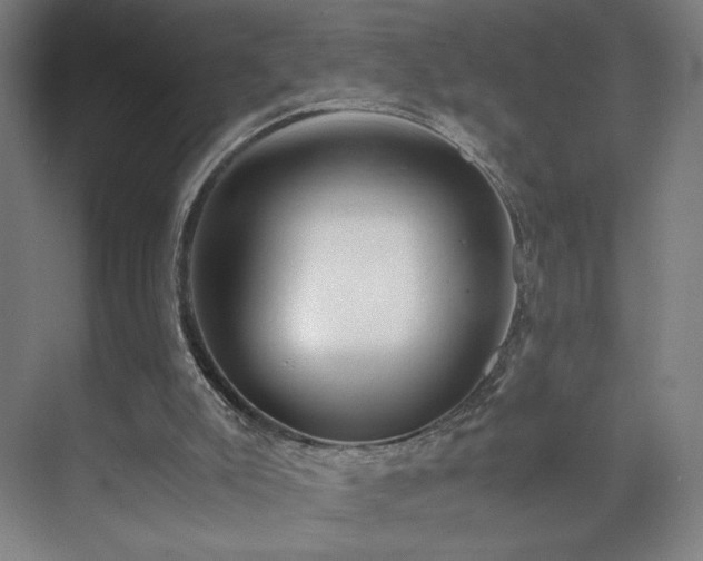 X0000071900007200607141346