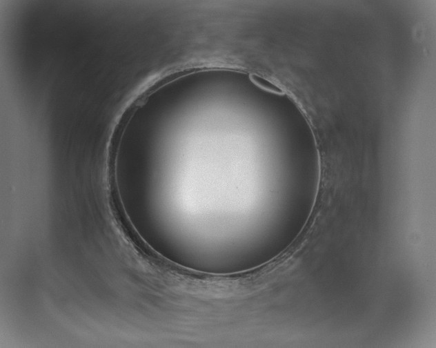 X0000071900008200607141346