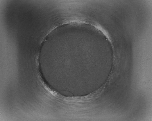 X0000071900009200607141346