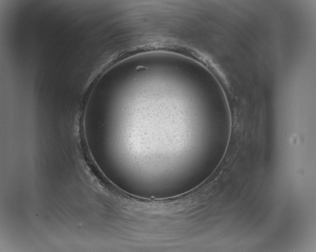 X0000071900010200607141346