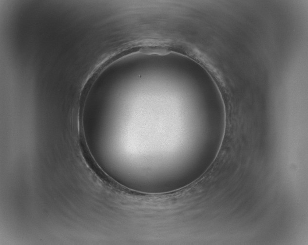 X0000071900011200607141346