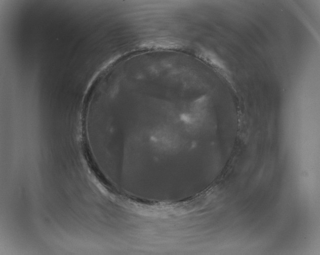 X0000071900012200607141346