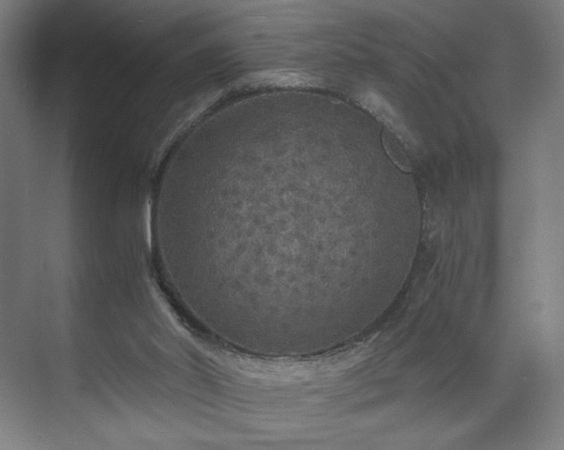 X0000071900014200607141346