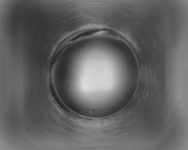 X0000071900015200607141346