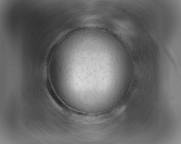 X0000071900016200607141346