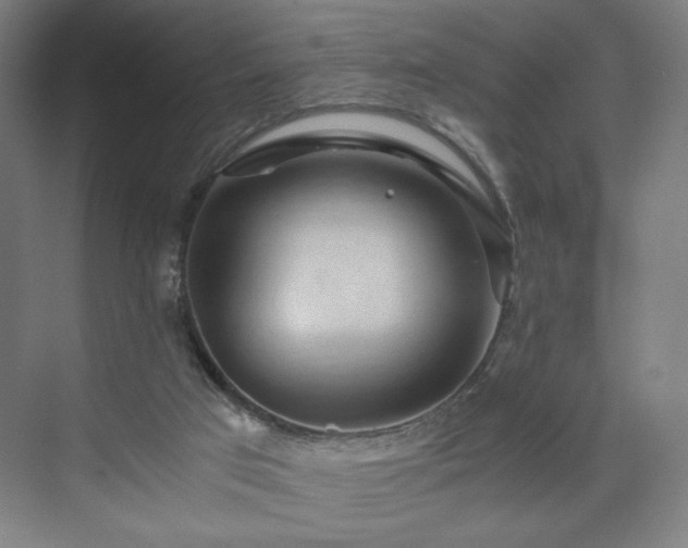 X0000071900017200607141346