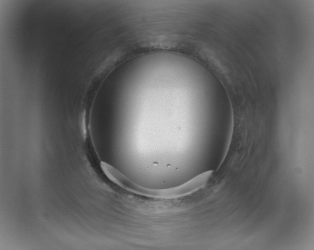 X0000071900020200607141346