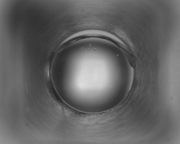 X0000071900021200607141346