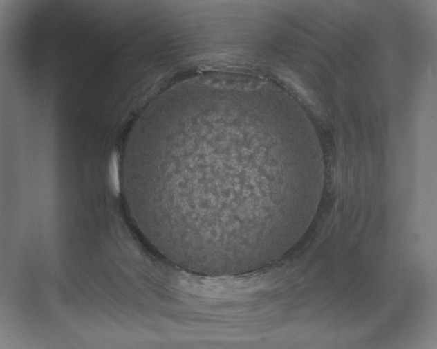 X0000071900022200607141346