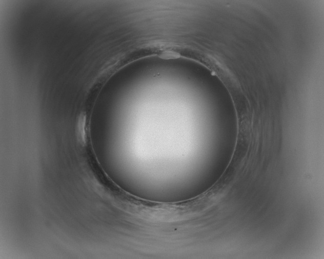 X0000071900024200607141346