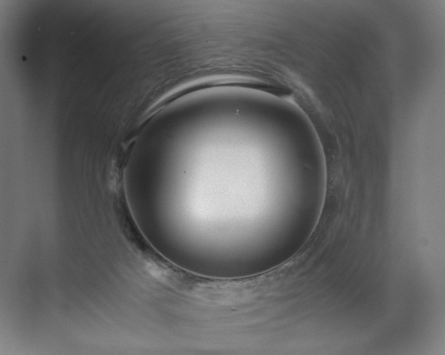 X0000071900025200607141346