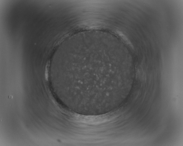 X0000071900026200607141346