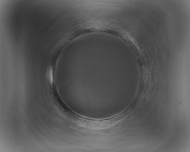 X0000071900027200607141346