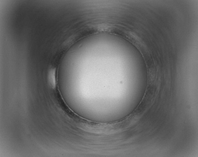 X0000071900028200607141346