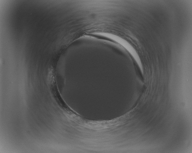 X0000071900029200607141346