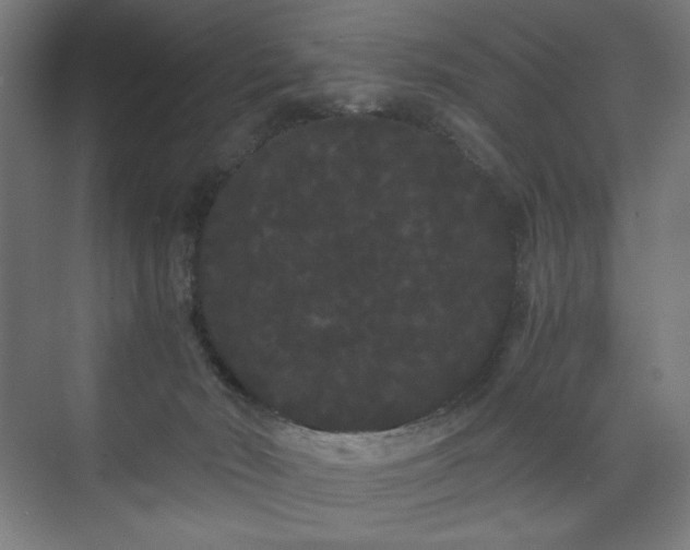 X0000071900030200607141346