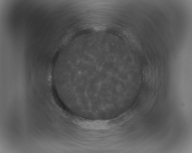 X0000071900032200607141346