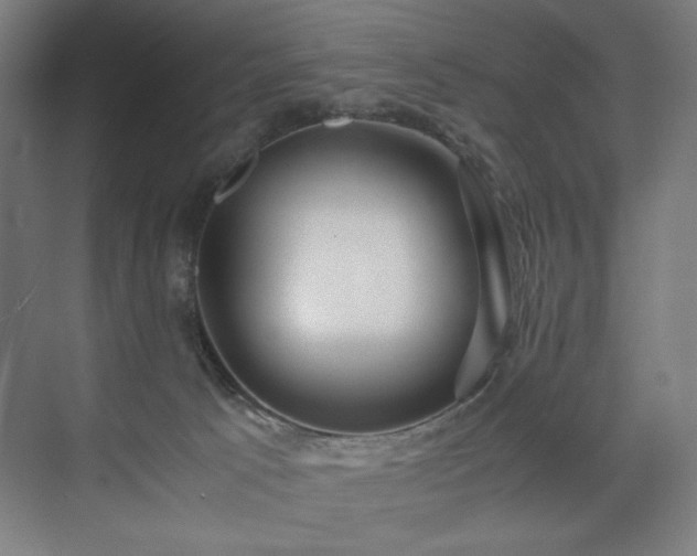 X0000071900033200607141346