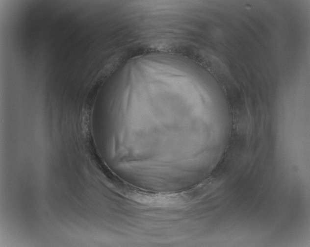 X0000071900036200607141346