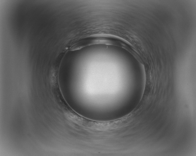 X0000071900037200607141346