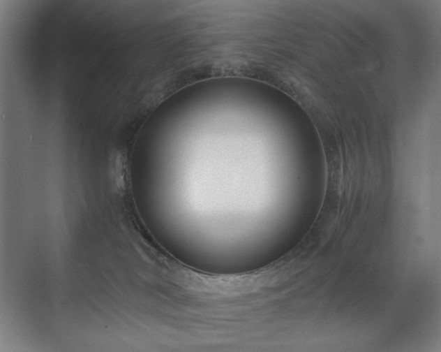 X0000071900038200607141346