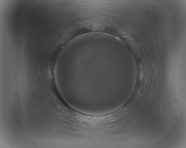 X0000071900039200607141346