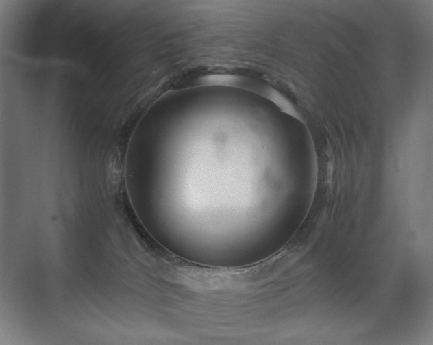 X0000071900040200607141346