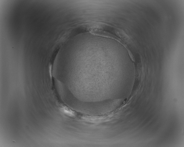 X0000071900041200607141346