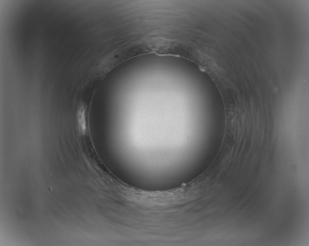 X0000071900042200607141345