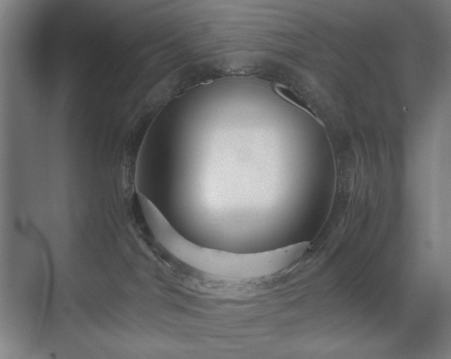 X0000071900044200607141345