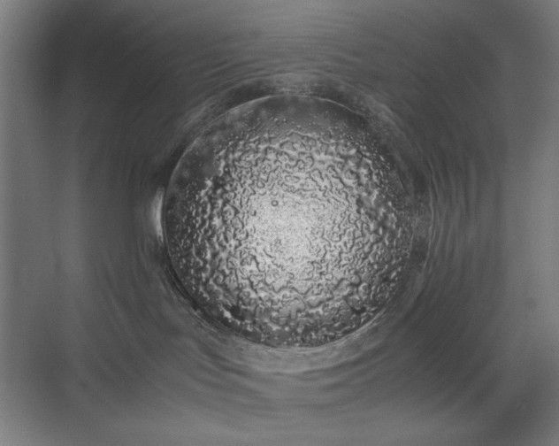 X0000071900047200607141345